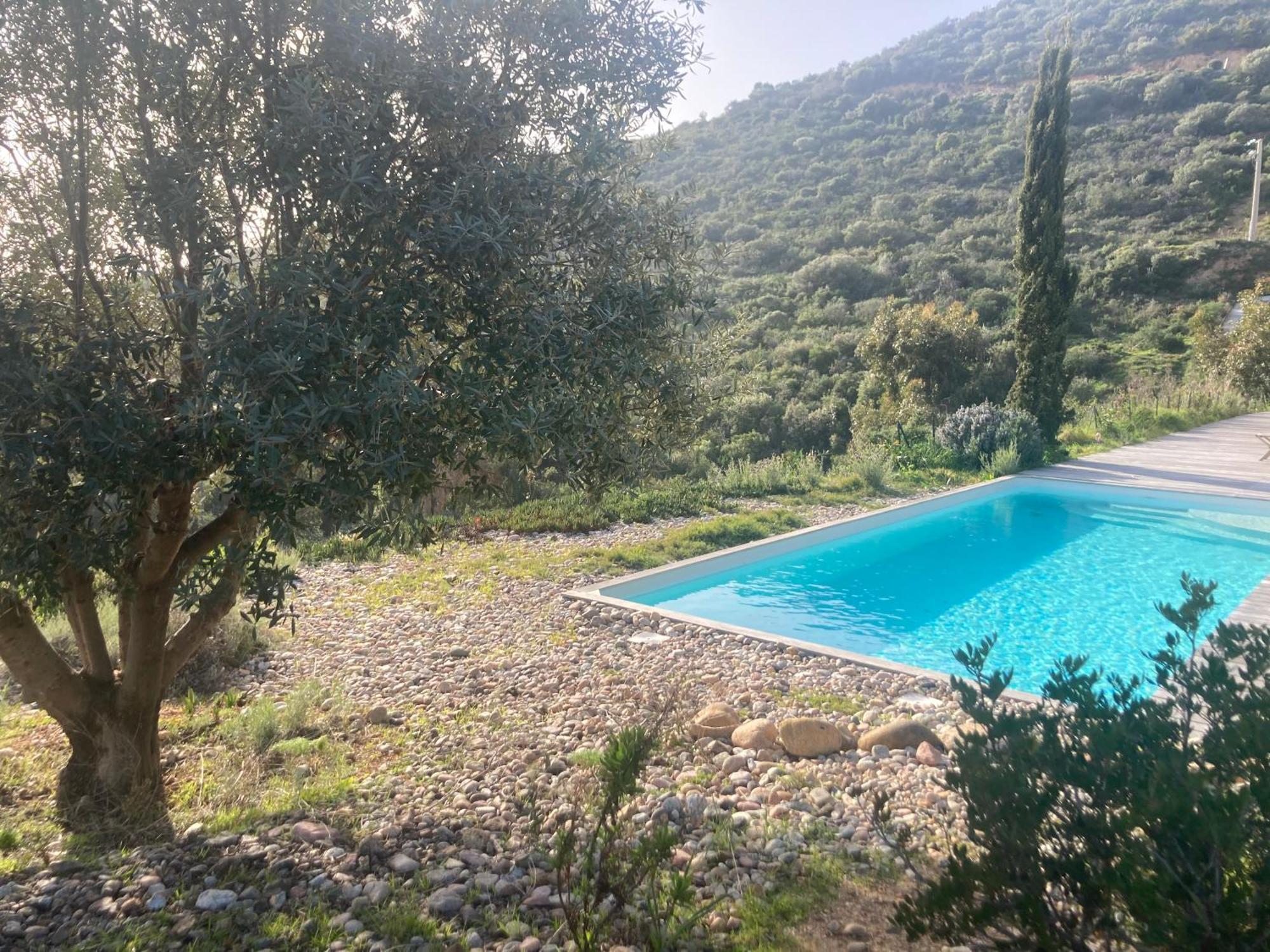 Casa Turrigiani Vila Sagone  Exterior foto